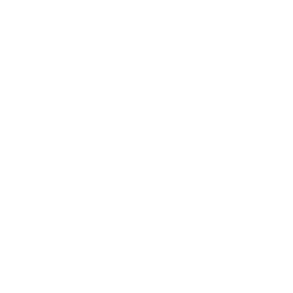 Praxity Logo