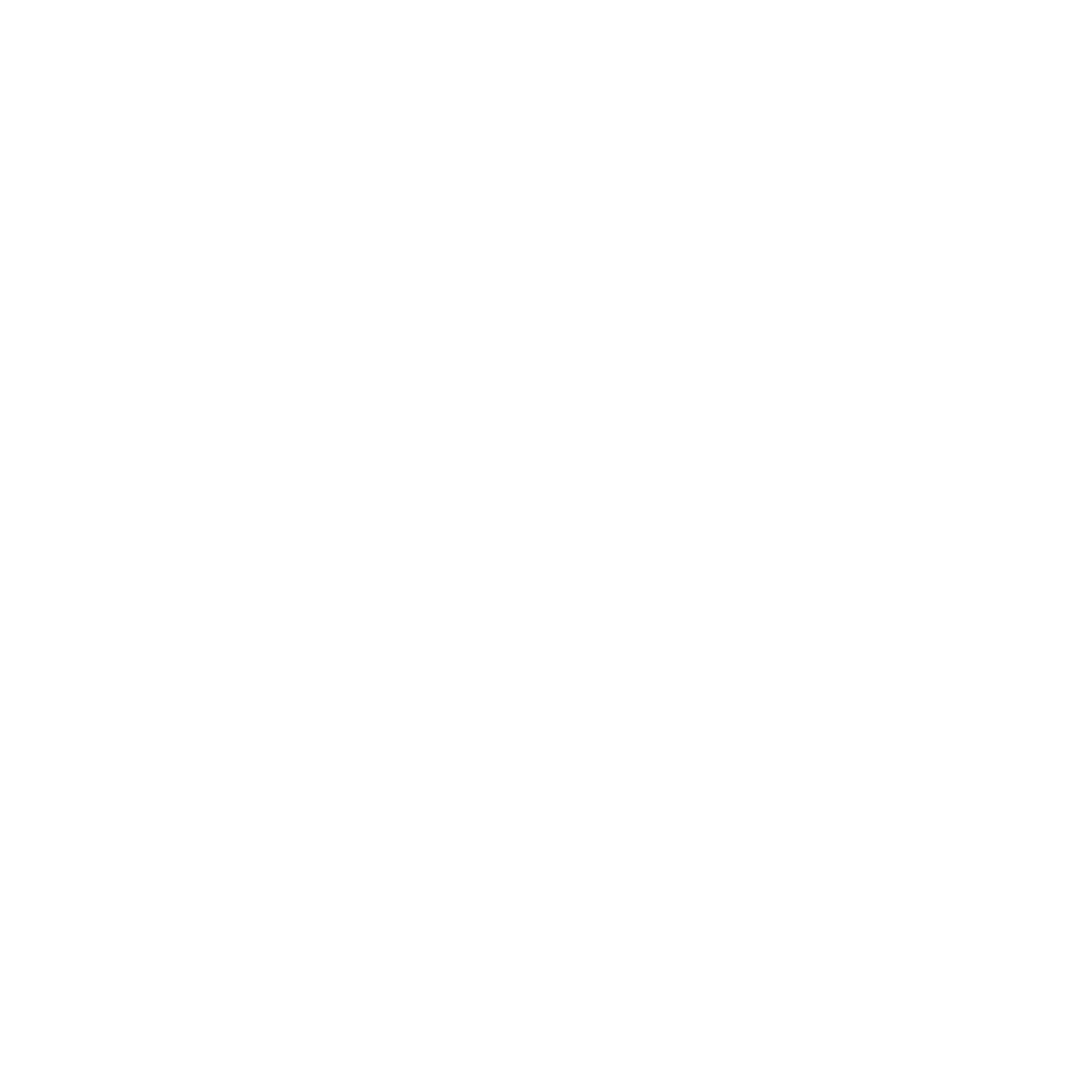 Sulzer Logo