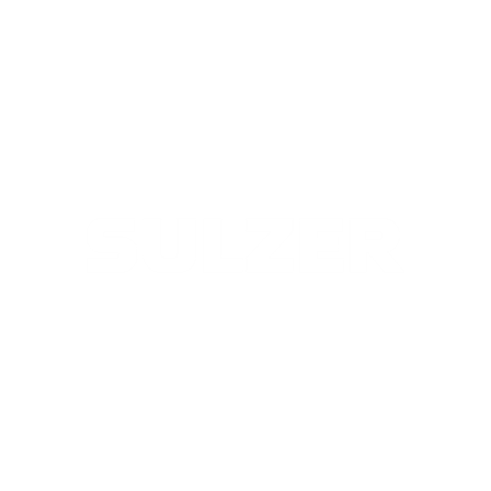 Sulzer Logo